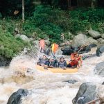 Group enjoying a thrilling whitewater rafting experience on a river with challenging rapids.