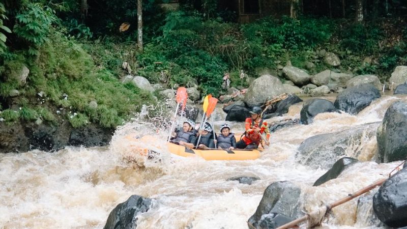 Group enjoying a thrilling whitewater rafting experience on a river with challenging rapids.